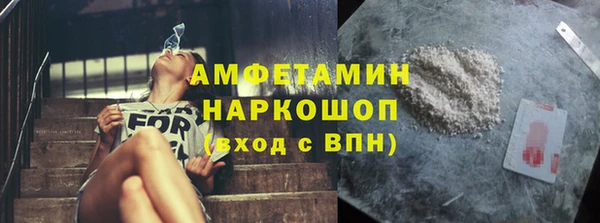 прущие крисы Шенкурск