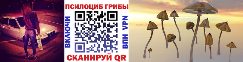 кракен ССЫЛКА  Аткарск  Псилоцибиновые грибы Cubensis  наркошоп 